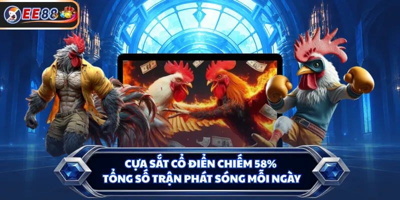 Cựa sắt cổ điển chiếm 58% tổng số trận phát sóng mỗi ngày