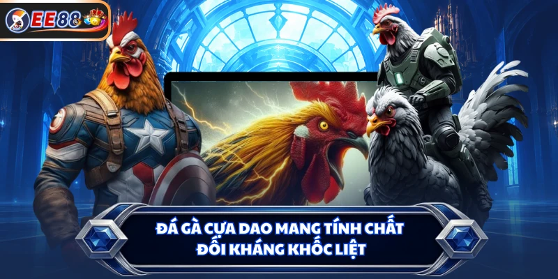 Đá gà cựa dao mang tính chất đối kháng khốc liệt