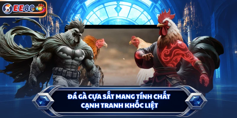 Đá gà cựa sắt mang tính chất cạnh tranh khốc liệt