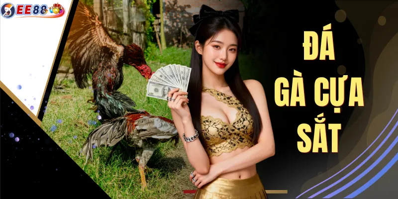 Đá Gà Cựa Sắt