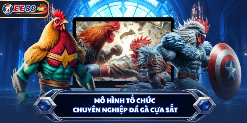 Mô hình tổ chức chuyên nghiệp đá gà cựa sắt