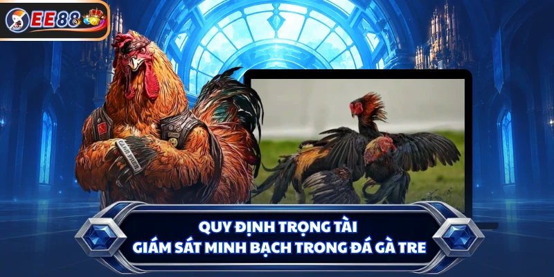 Quy định trọng tài giám sát minh bạch trong đá gà tre