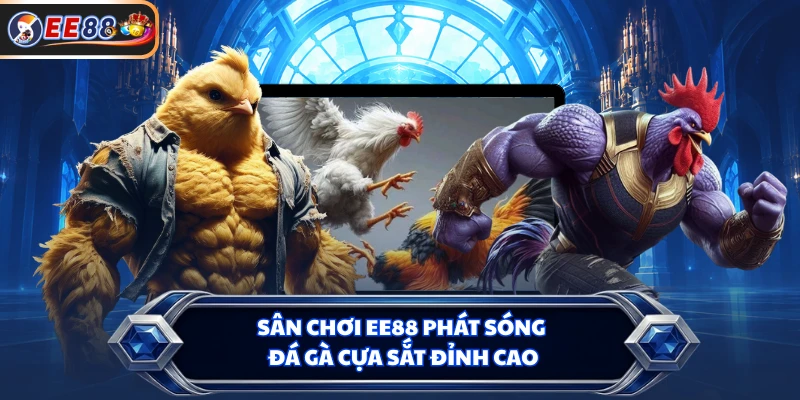 Sân chơi EE88 phát sóng đá gà cựa sắt đỉnh cao